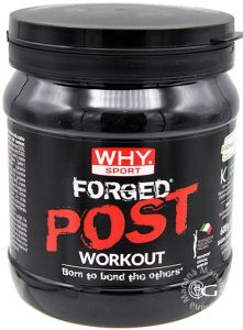 Why Sport Forged Post Workout 600 g.