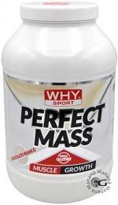 Why Sport Perfect Mass Gusto Cioccolato Bianco 1,6 Kg