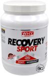 Why Sport Recovery Sport 400 g.
